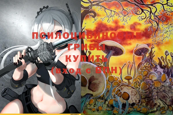 jwh Сосновоборск